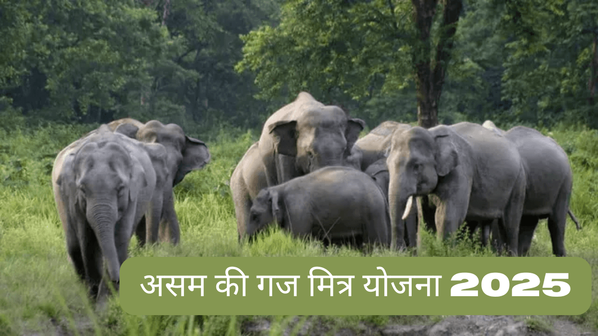 EMI %E0%A4%AA%E0%A4%B0 I Phone 27